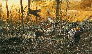 Vixen dinner - red fox and pheasant by Christopher Walden